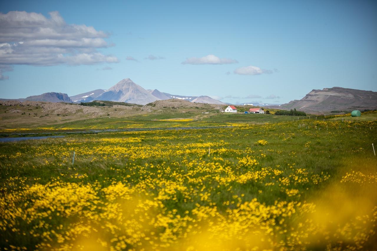 Stuttárbotnar, frístundabyggð í Húsafelli – Tillaga að deiliskipulagi