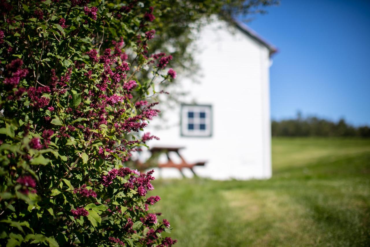 Efra-Nes – Nýtt deiliskipulag